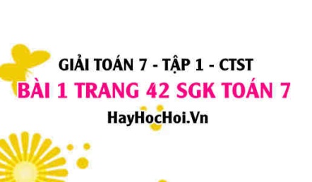 Giải bài 1 trang 42 Toán 7 Tập 1 SGK Chân trời sáng tạo